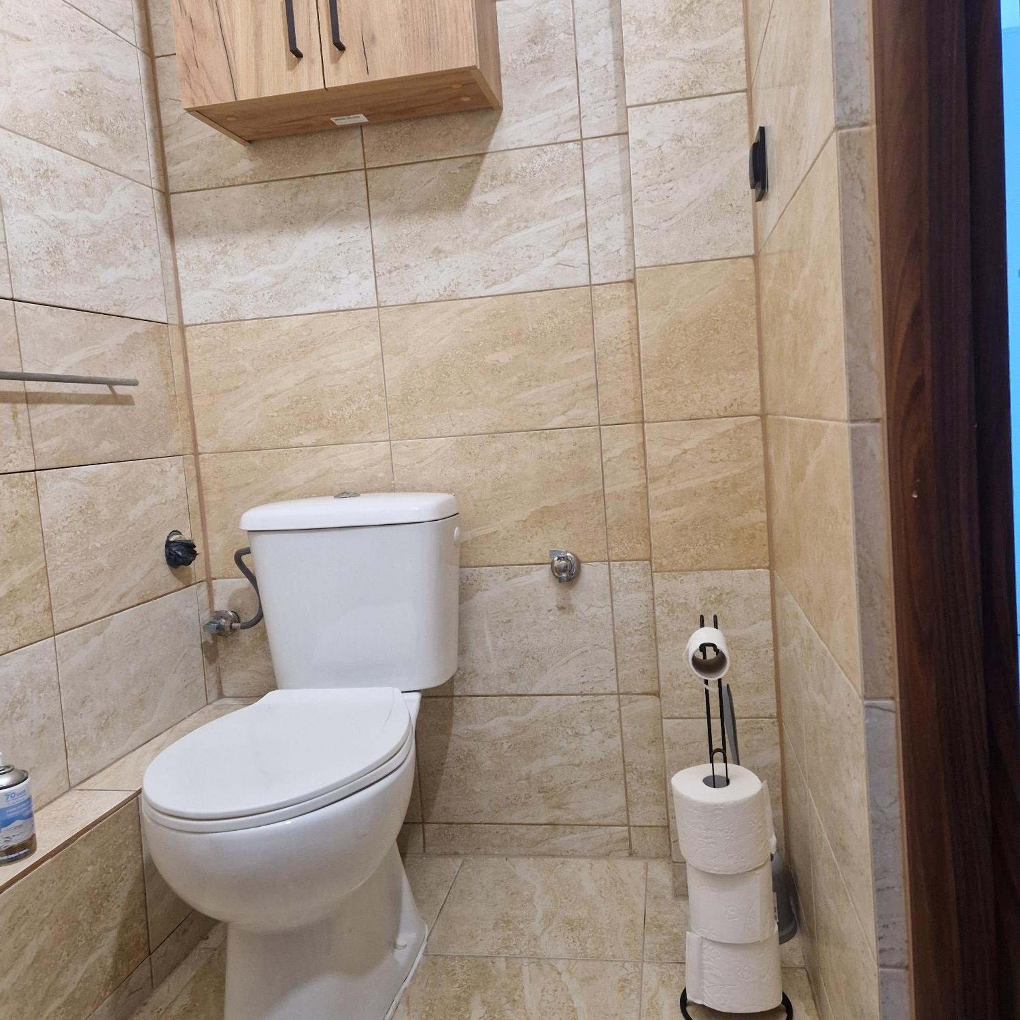 Wielkopolska Apartment وودج المظهر الخارجي الصورة